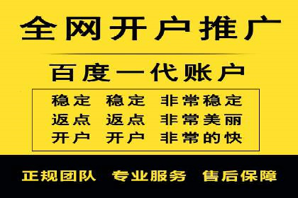 SEM广告投放的竞价策略与效果评估案例